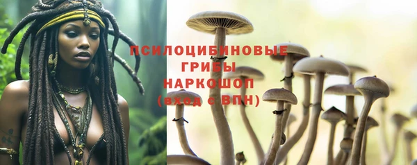 герыч Аркадак