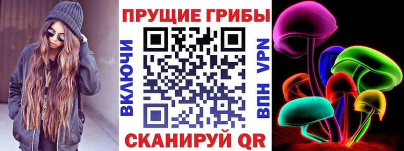 Галлюциногенные грибы Cubensis Катайск