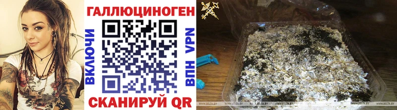Псилоцибиновые грибы ЛСД  blacksprut   Катайск  где найти наркотики 
